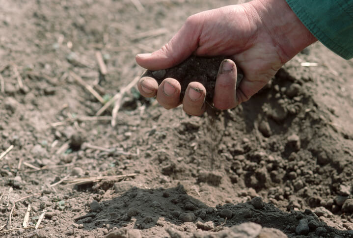 rolnik trzymający garść gleby